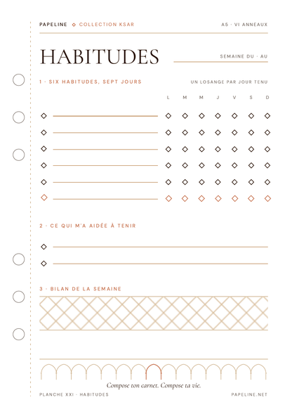 Kit Studio - Raccoglitore A5 + 30 pagine + copertina omaggio | Papeline